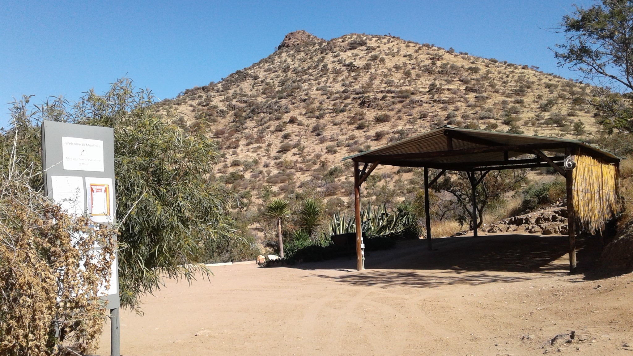 67381898_854706414915807_751129491614466048_n